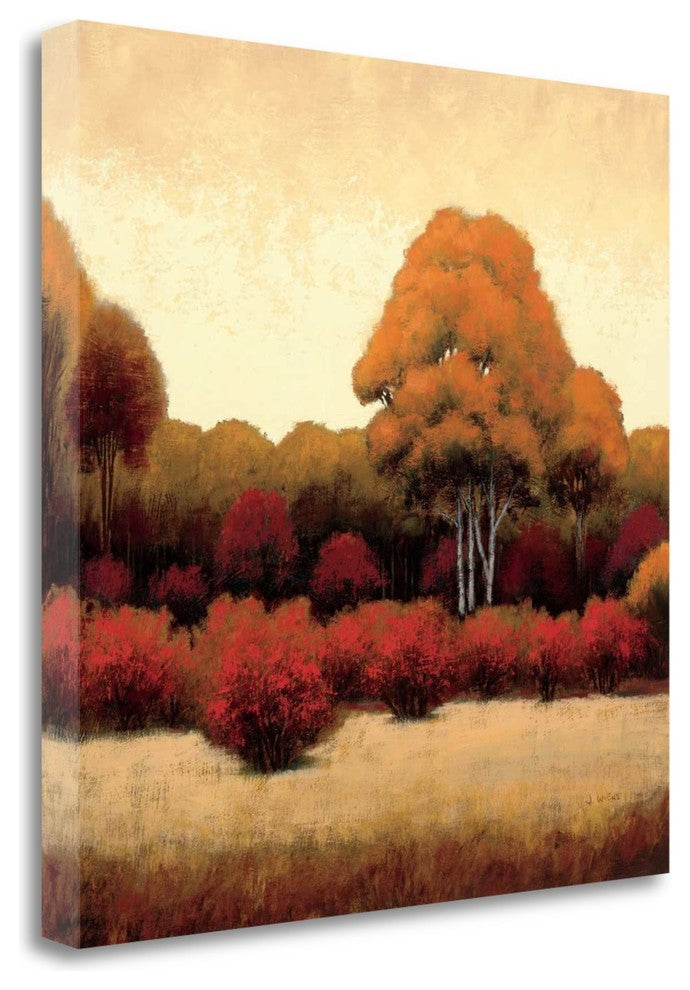 "Autumn Forest I" By James Wiens, Giclee Print on Gallery Wrap Canvas