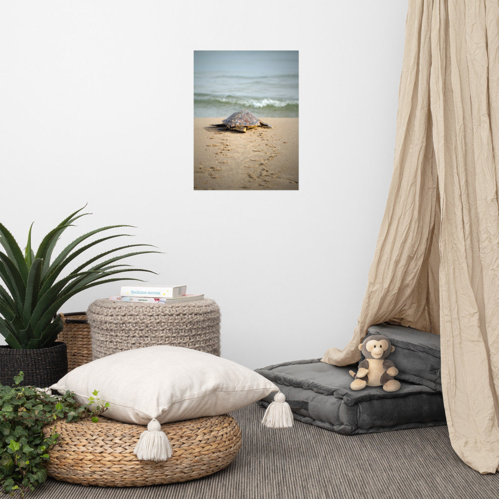 Baby Loggerhead Sea Turtle Beach Ocean Photograph Loose Wall Art Print, 18" X 24"