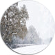 Christmas Winter Snow, Landscape Photo Disc Metal Wall Art, 23"