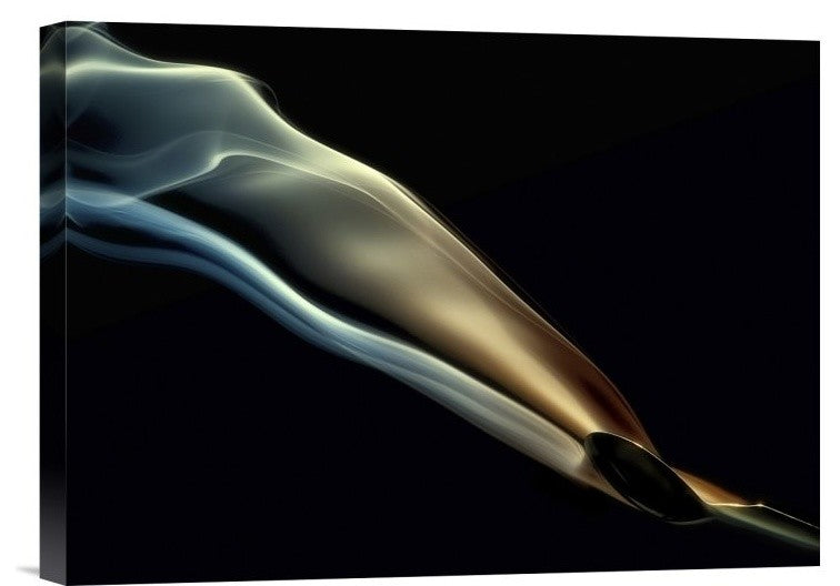 "Silk" Stretched Canvas Giclee by Aida Ianeva, 16"x12"