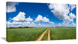 Path in Bright Summer Panorama, Landscape Canvas Art Print, 40x20
