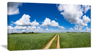 Path in Bright Summer Panorama, Landscape Canvas Art Print, 40x20