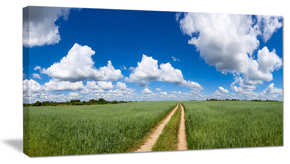 Path in Bright Summer Panorama, Landscape Canvas Art Print, 40x20