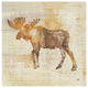 "Moose Study" Digital Paper Print by Studio Mousseau, 20"x20"