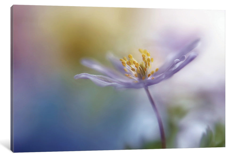 "Springtime Watercolor" by Heidi Westum, 26x18x1.5