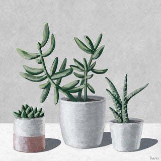 "Succulents, Bloom" Painting Print on Wrapped Canvas