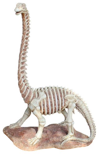 Brachiosaurus Skeleton Dinosaur Statue