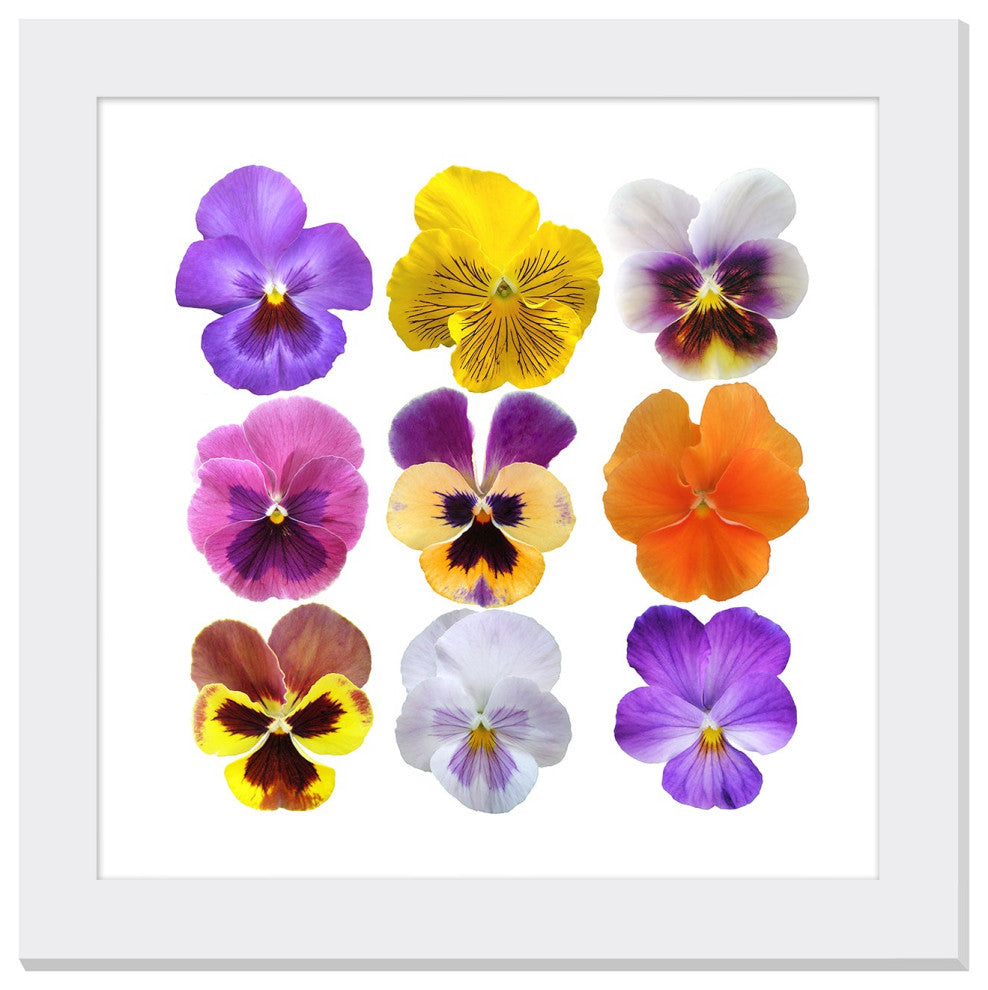 Grandeur Museum-Grade Luxurious Wall Art Statement, WM02002