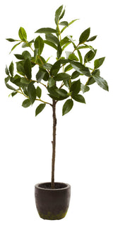 29'' Topiary With Decorative Planter