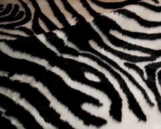 63"x90" Zebra Black and White Print Area Rug