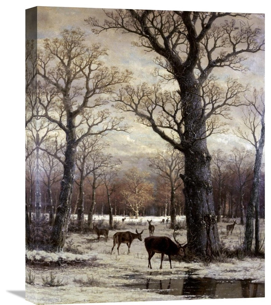 "Deer Foraging, Winter" Stretched Canvas Giclee, 17"x22"