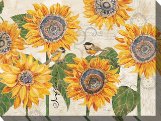 OU-83037 Sunbirds