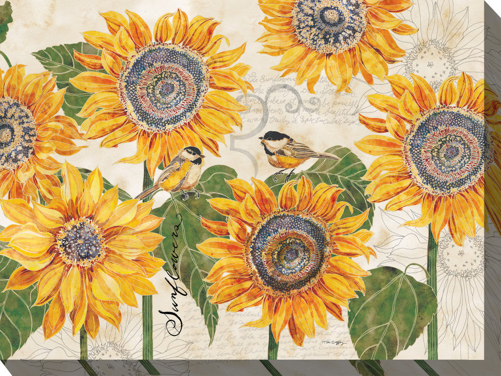 OU-83037 Sunbirds