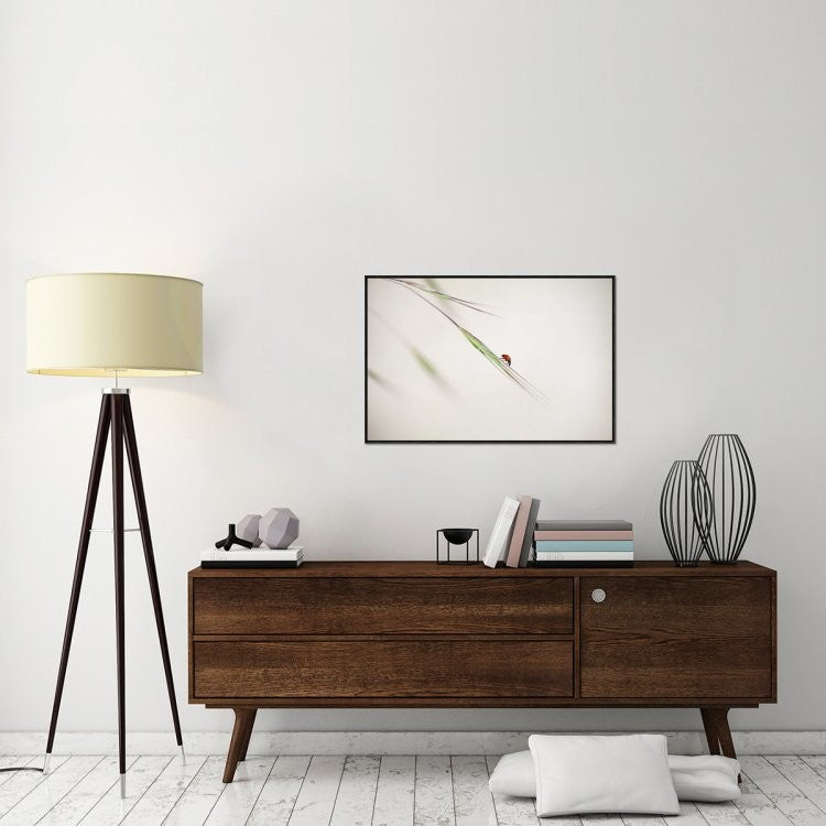 "Untitled" Framed Canvas Giclee by Anna Cseresnjes, 37x25"