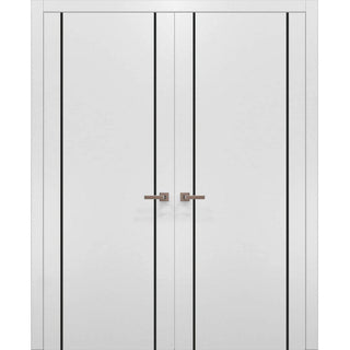 Solid French Double Doors 64 x 80 | Planum 0016 White Silk with