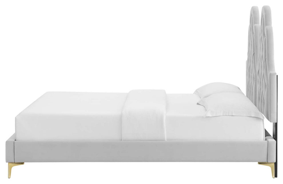 Tufted Platform Bed Frame, Twin Size, Velvet, Gray, Modern Contemporary