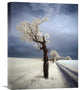 "Irenka" Stretched Canvas Giclee by Piotr (Bax) Krol, 17"x22"