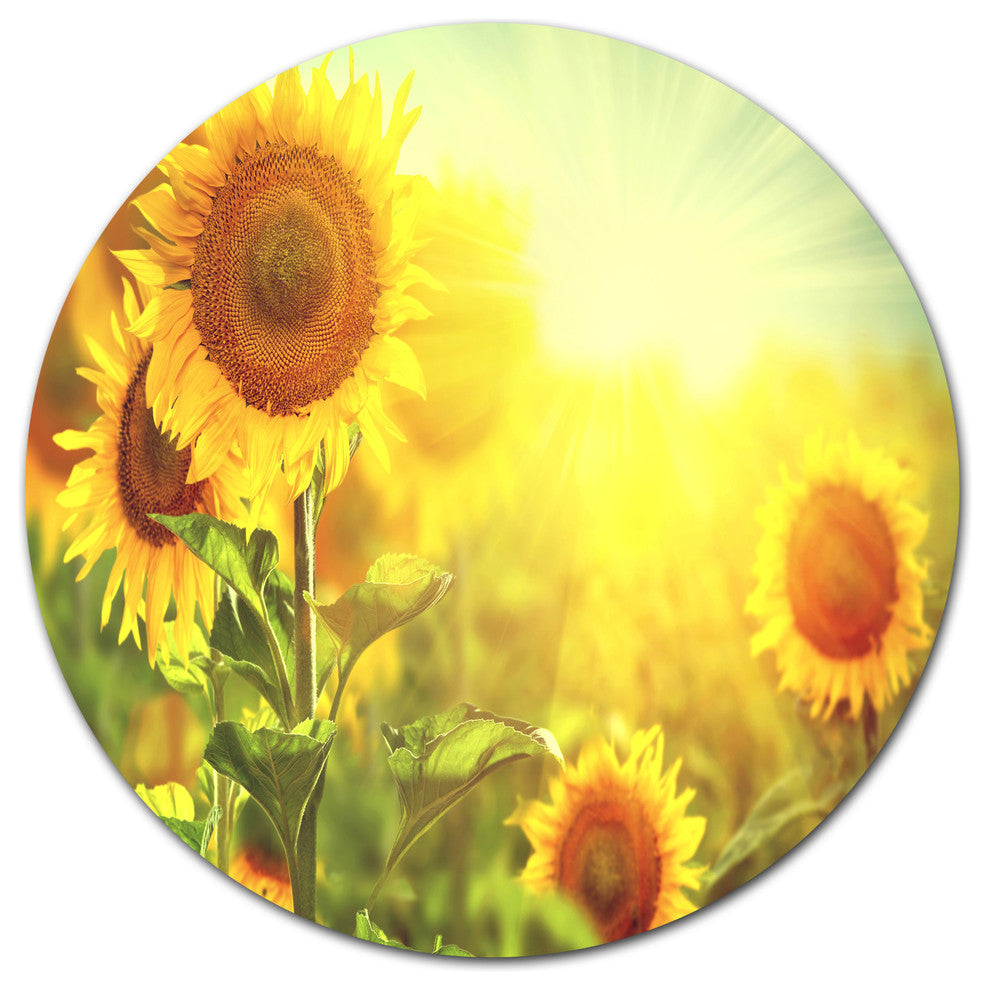 Sunflowers Blooming On The Field, Animal Disc Metal Wall Art, 38"