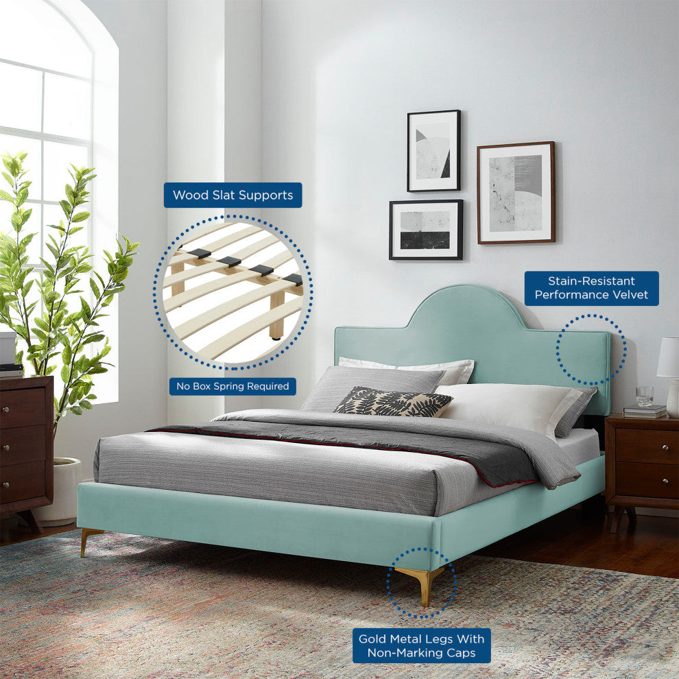 Platform Bed Frame, Queen Size, Blue, Velvet, Modern, Bedroom Guest Suite