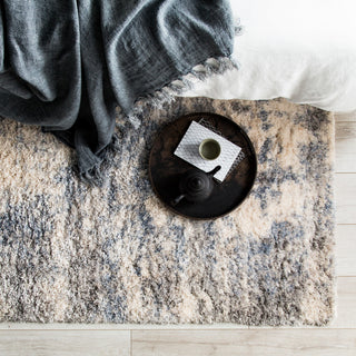 Jaipur Living Harmony Abstract Gray/Blue Rug, 2'x3'