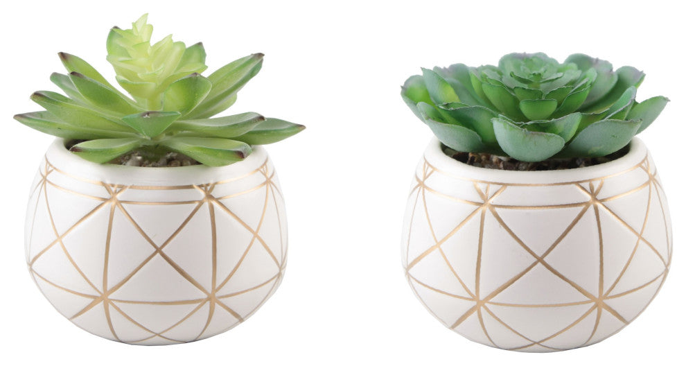 Set Of 2 Succulent In 4" Geo Gold Round Ceramic
