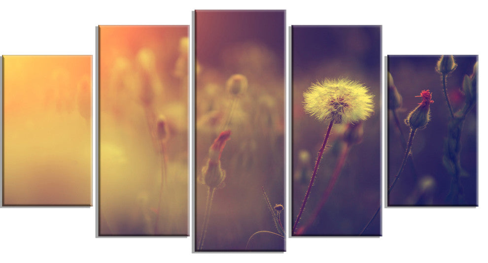 Vintage Photo Of Dandelion Field, Large Floral Canvas Print, 60"x32", 5 Panels