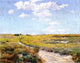 William Merritt Chase A Sunny Afternoon Shinnecock Hills Wall Decal