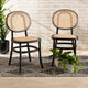Marcella Mid-Century 2-Piece Dining Chairs, Black