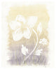 "Floral Silhouette II" Digital Paper Print by Elyse DeNeige, 22"x26"