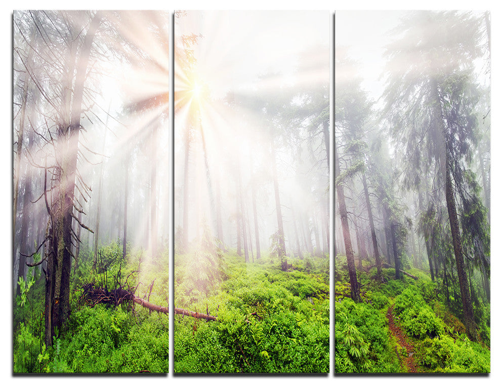 "Misty Sunrise in Forest" Photography Metal Wall Art, 3 Panels, 36"x28"
