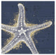"Calm Seas XI no Words" Digital Paper Print by Janelle Penner, 32"x32"
