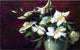 Harriet Cheney White Roses, Gallery Wrapped Canvas Print, 18"x27"