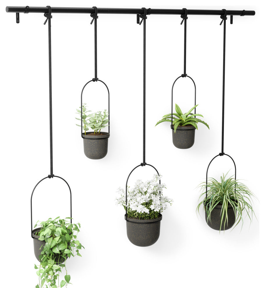 Umbra Triflora Hanging Planter, Set of 5 Black