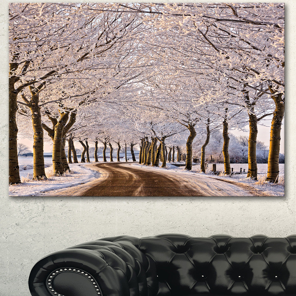 Trees And Road in White Winter, Landscape Canvas Art Print, 60"x28"