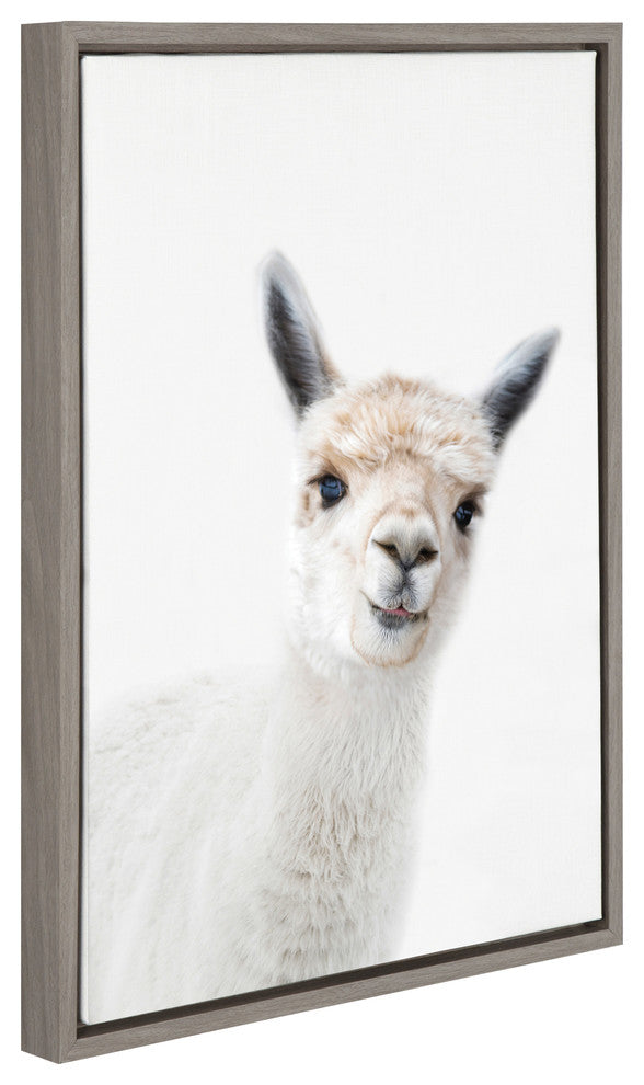 Sylvie Studio Alpaca Animal Print Framed Canvas Art by Amy Peterson, 18x24