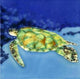 Sea Turtle Swimming in Clear Blue Water Ceramic Tile Art  6X6 Inches