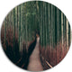 Bamboo Grove In Arashiyama Panorama, Forest Round Metal Wall Art, 36"