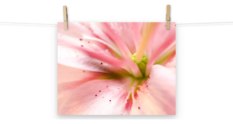 Center of the Stargazer Lily Floral Nature Photo Unframed Wall Art Print, 11" X 14"