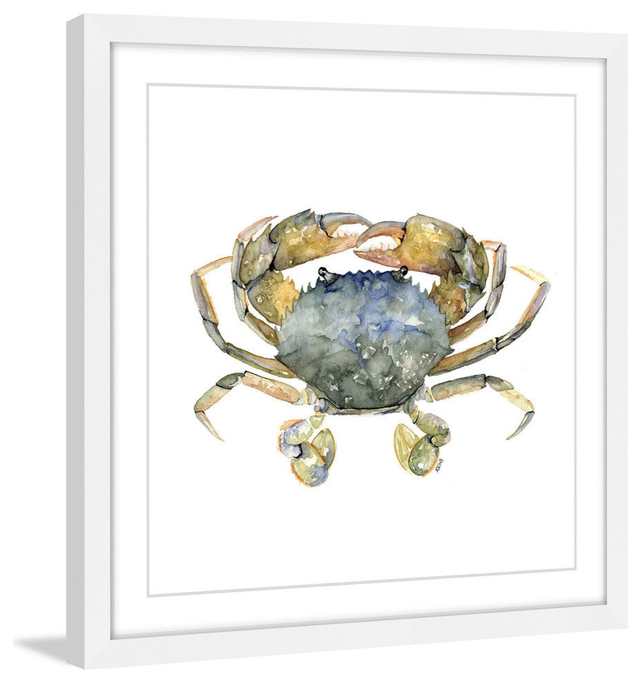 "Blue Crab" Framed Print by Rachel Byler
