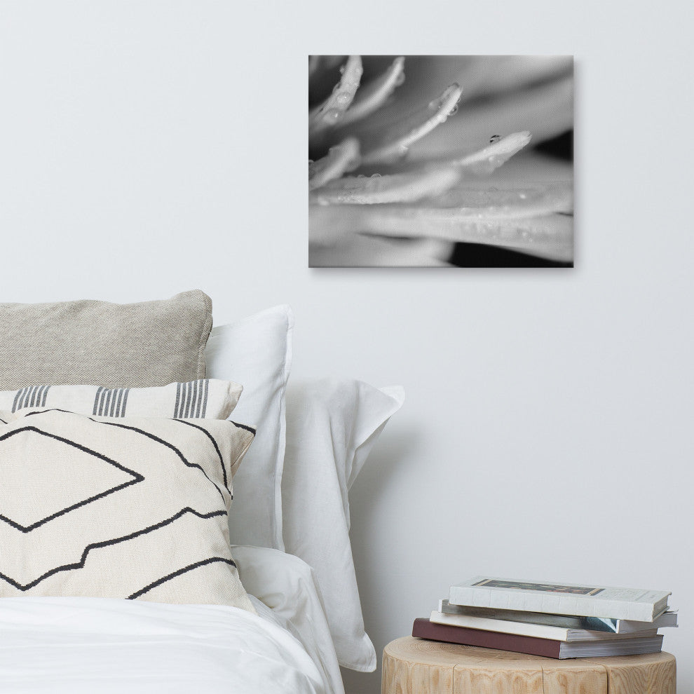 Droplets on Petals Floral Nature Photography Canvas Wall Art Print, 16" X 20"