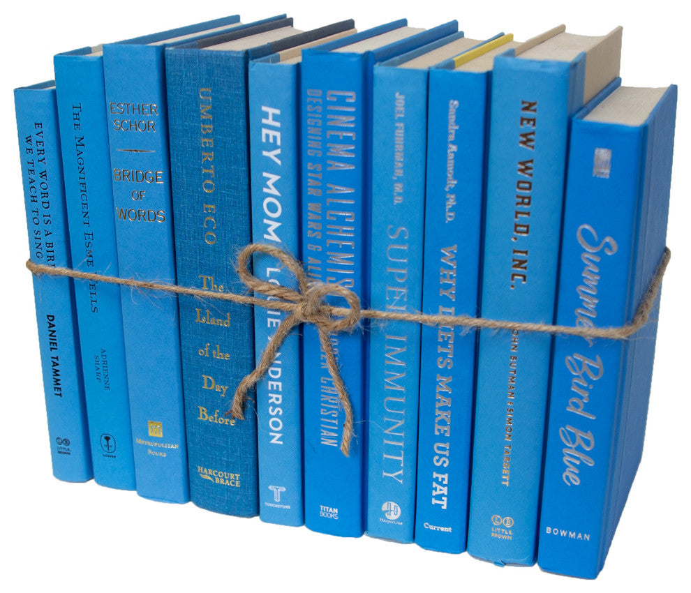 Decorative Books - Sky Book Bundle - 1 foot of Blue Books