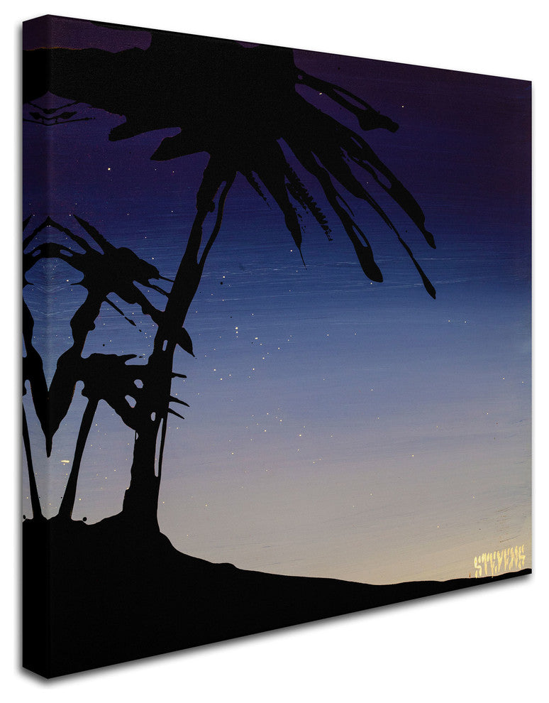 ''Evening Palms'' Canvas Art by Roderick Stevens