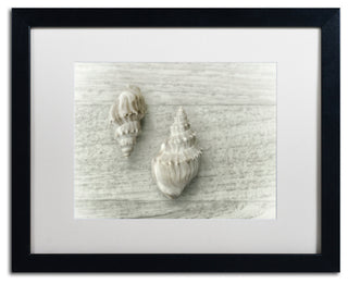 Cora Niele 'Two Cancellaria Shells' Matted Framed Art