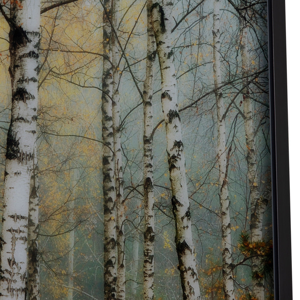 Rivers Glass Wall Art With Black Frame