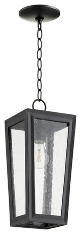 Bravo Transitional Pendant in Noir