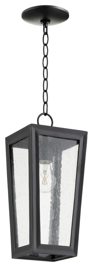 Bravo Transitional Pendant in Noir