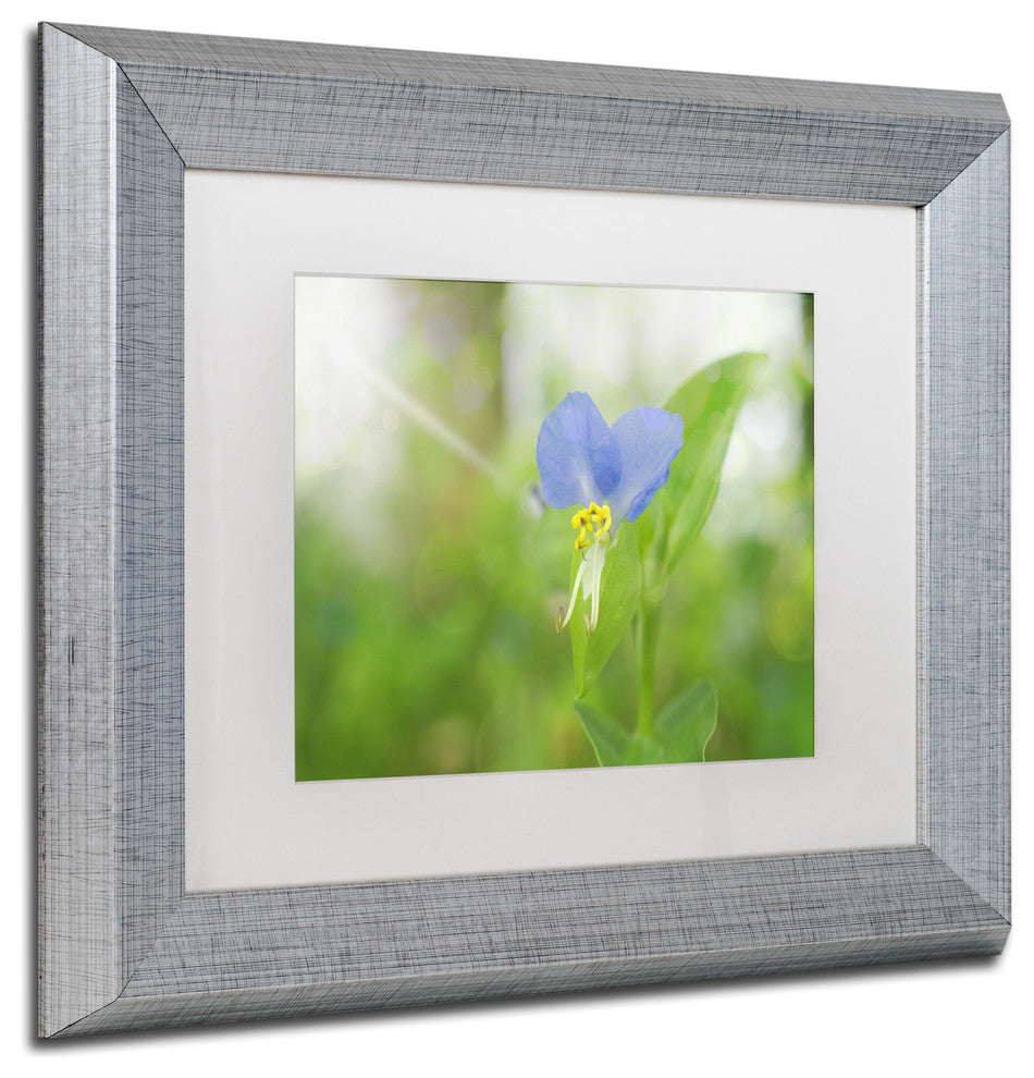 PIPA Fine Art 'Asiatic Dayflower' Matted Framed Art, 14x11