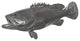 Estuary Cod Fish, Polished Aluminum