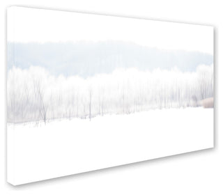 'Abstract Winter Beaver Marsh' Canvas Art by Kurt Shaffer