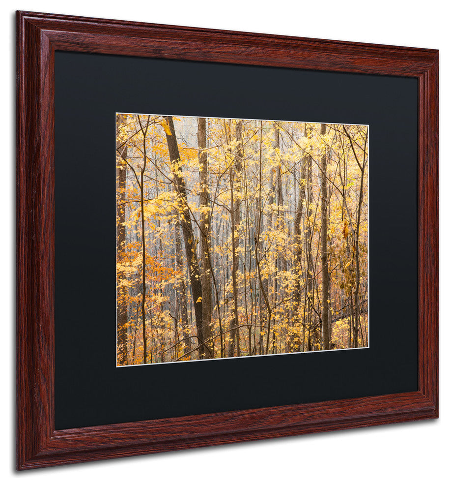 Jason Shaffer ''Autumn Treeline 2'', Wood Frame, Black Mat, 20x16
